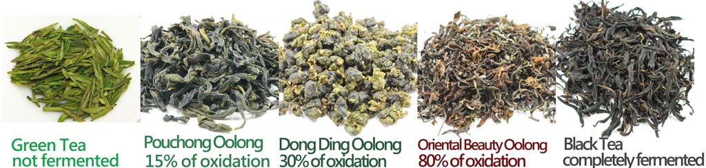 Green Tea, Black Tea and Oolong Tea